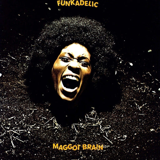 Maggot Brain – Funkadelic (Vinyl record)