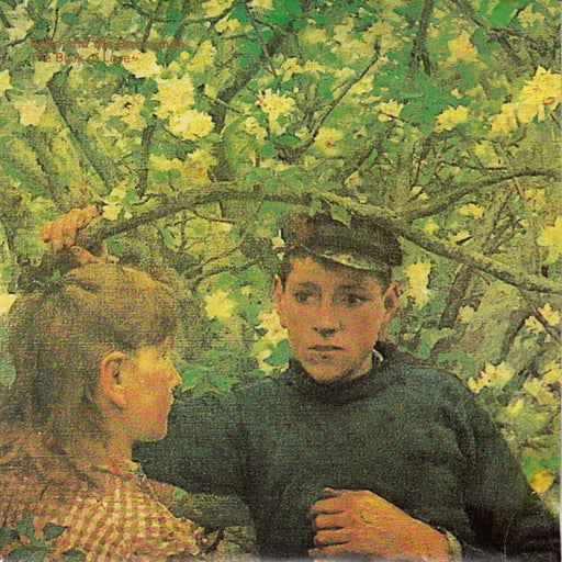 Echo & The Bunnymen – The Back Of Love (LP, Vinyl Record Album)