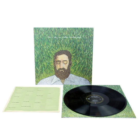 Iron And Wine – Our Endless Numbered Days LP vinyl record, image 2 of 3