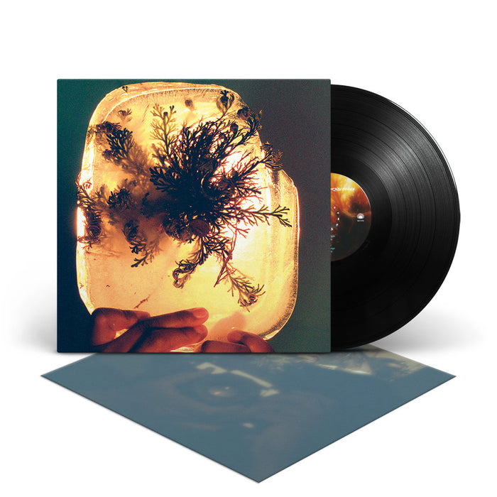 L'rain – Fata Morgana LP vinyl record, image 2 of 2
