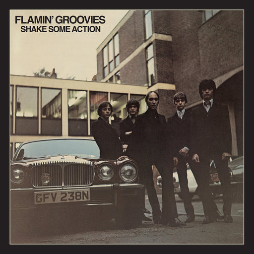 Flamin' Groovies – Shake Some Action (2xLP, 50th Anniversary) LP vinyl record, image 1 of 2