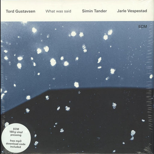 Tord Gustavsen – What Was Said (LP, Vinyl Record Album)