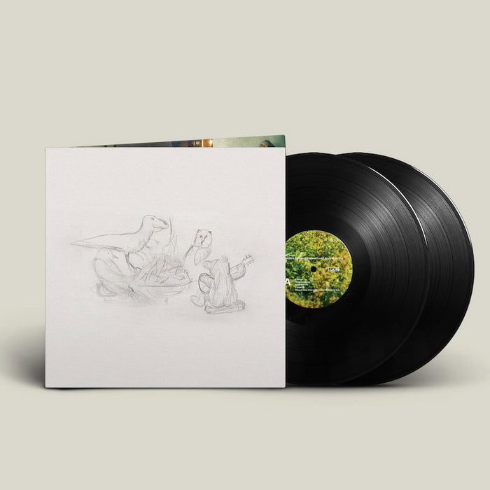 Big Thief – Dragon New Warm Mountain I Believe In You (2xLP) LP vinyl record, image 2 of 3