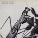 Courtney Barnett – Creature of Habit - Image 1