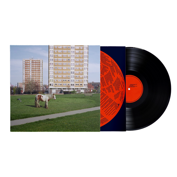 Westside Cowboy – It Goes On LP vinyl record, image 3 of 2