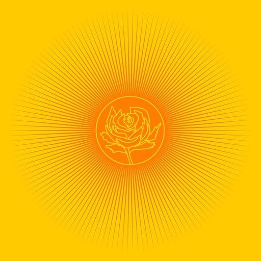 Ryan Adams & The Cardinals – Easy Tiger (LP, Vinyl Record Album)