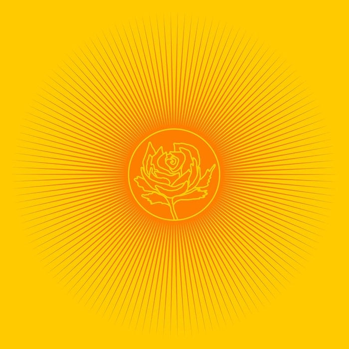 Ryan Adams & The Cardinals – Easy Tiger (LP, Vinyl Record Album)