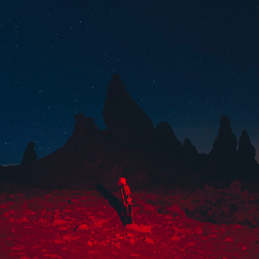 Phoebe Bridgers – Punisher (LP, Vinyl Record Album)