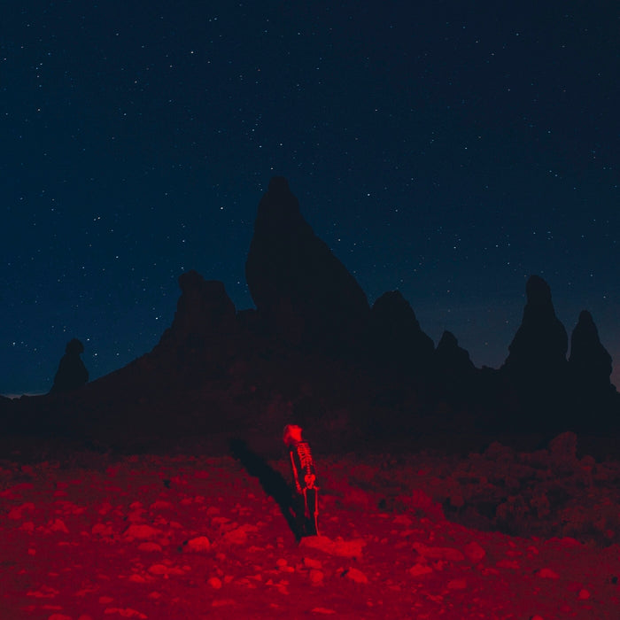 Phoebe Bridgers – Punisher (LP, Vinyl Record Album)