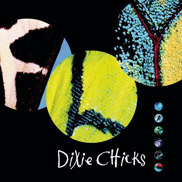 Dixie Chicks – Fly (2xLP) (LP, Vinyl Record Album)