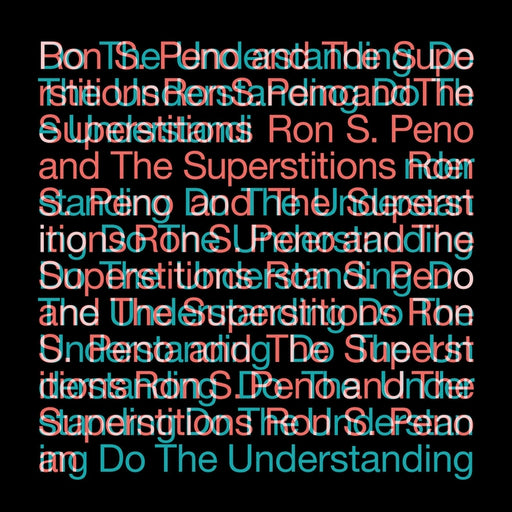 Ron S. Peno And The Superstitions – Do The Understanding (LP, Vinyl Record Album)