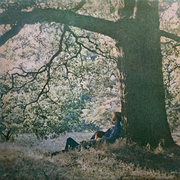 Yoko Ono, The Plastic Ono Band – Yoko Ono / Plastic Ono Band (LP, Vinyl Record Album)