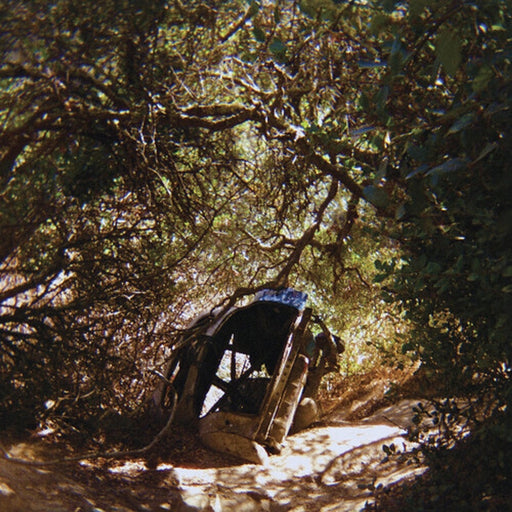 Ty Segall – Possession (LP, Vinyl Record Album)