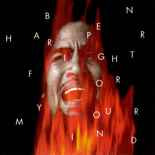 Ben Harper – Fight For Your Mind LP vinyl record