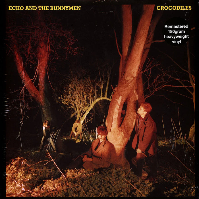 Echo & The Bunnymen – Crocodiles LP vinyl record, image 2 of 3