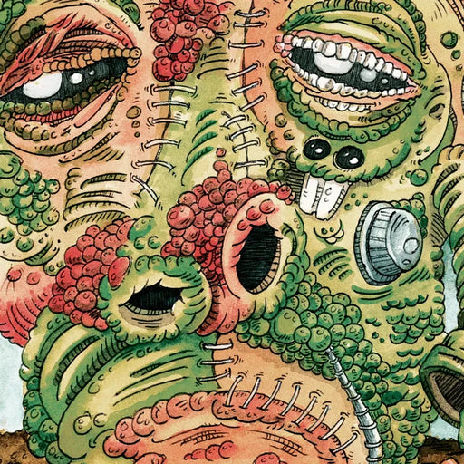 Ween – Shinola: Vol. 2 (2xLP, Brown Vinyl, RSD BF 2026) LP vinyl record, image 1 of 2