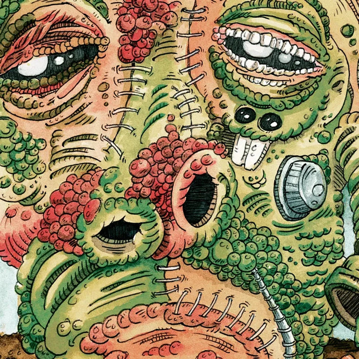 Ween – Shinola: Vol. 2 (2xLP, Brown Vinyl, RSD BF 2026) LP vinyl record, image 1 of 2