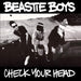 Beastie Boys – Check Your Head (2xLP) LP vinyl record, image 1 of 3