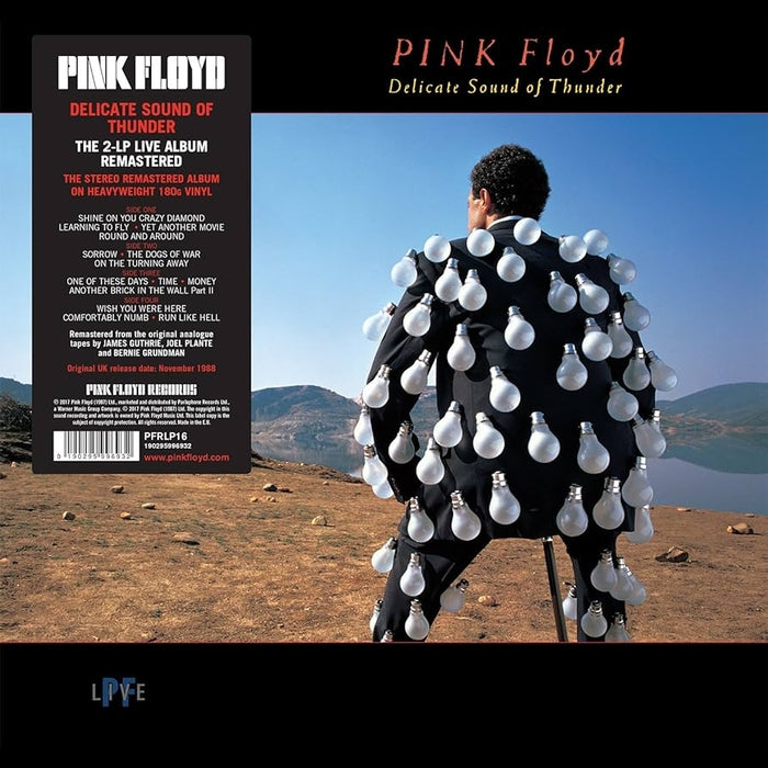 Pink Floyd – Delicate Sound Of Thunder (2xLP) (LP, Vinyl Record Album)