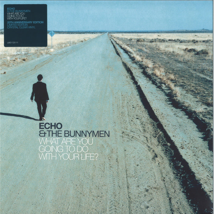 Echo & The Bunnymen – What Are You Going To Do With Your Life? (Clear vinyl) LP vinyl record, image 1 of 2