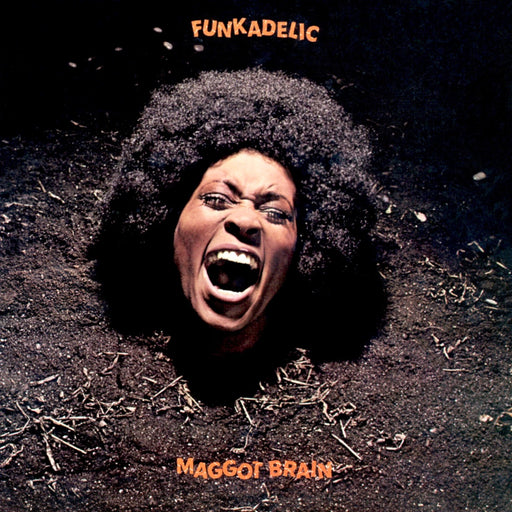 Maggot Brain – Funkadelic LP vinyl record