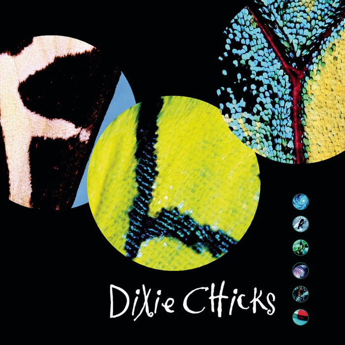 Dixie Chicks – Fly (2xLP) - Image 1