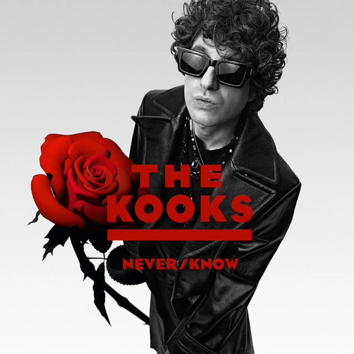 The Kooks – Never/Know LP vinyl record, image 1 of 2