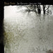 Bon Iver – For Emma, Forever Ago LP vinyl record, image 1 of 2