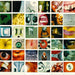 Pearl Jam – No Code - Image 1