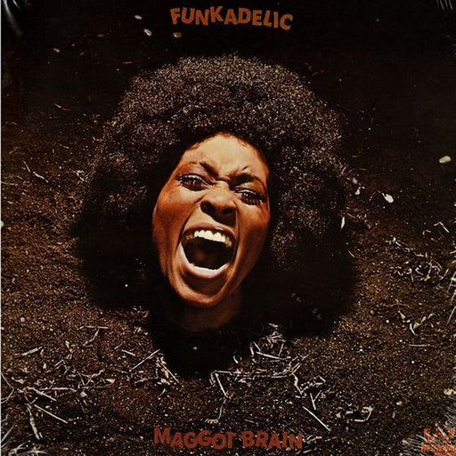 Funkadelic – Maggot Brain (LP, Vinyl Record Album)