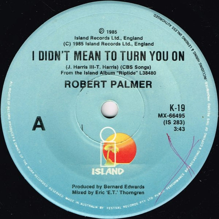 Robert Palmer – I Didn't Mean To Turn You On (LP, Vinyl Record Album)