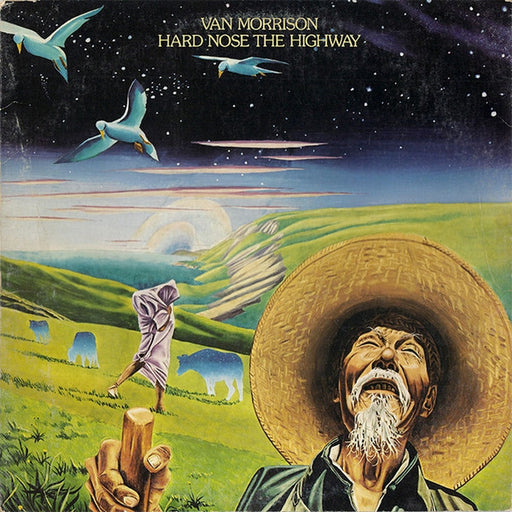 Van Morrison – Hard Nose The Highway (LP, Vinyl Record Album)