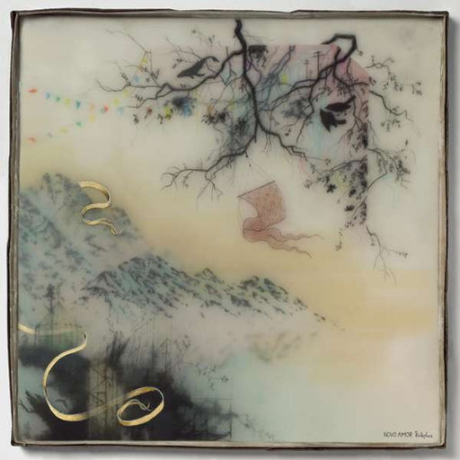Novo Amor – Birthplace (LP, Vinyl Record Album)