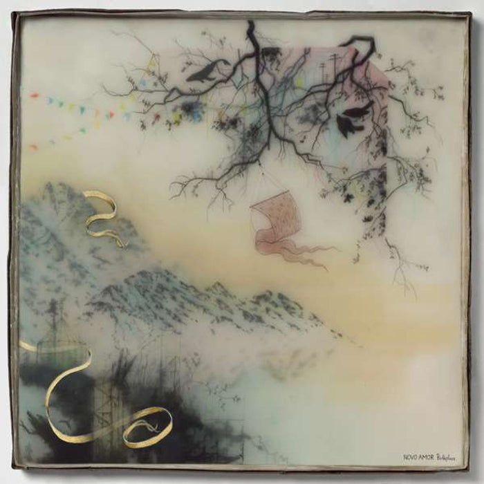 Novo Amor – Birthplace (LP, Vinyl Record Album)
