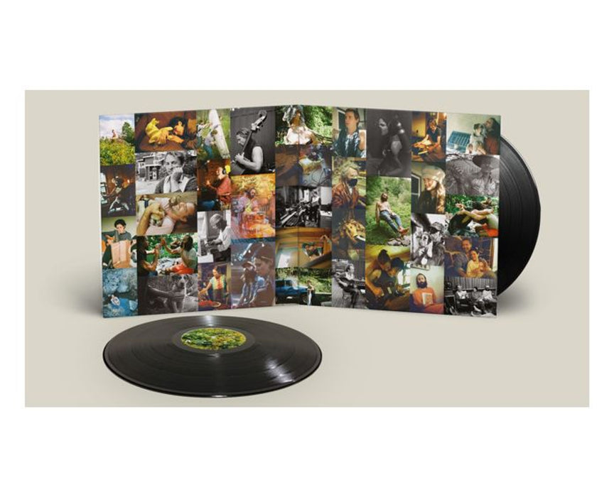 Big Thief – Dragon New Warm Mountain I Believe In You (2xLP) LP vinyl record, image 2 of 3