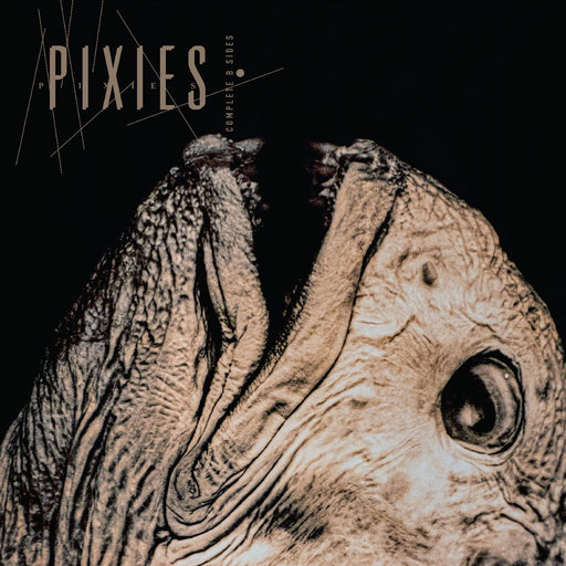 Pixies – Complete B Sides: 1988-97 (2xLP) - Image 1