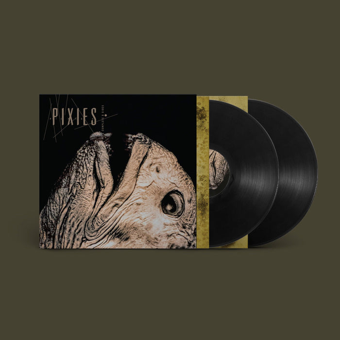 Pixies – Complete B Sides: 1988-97 (2xLP) - Image 2