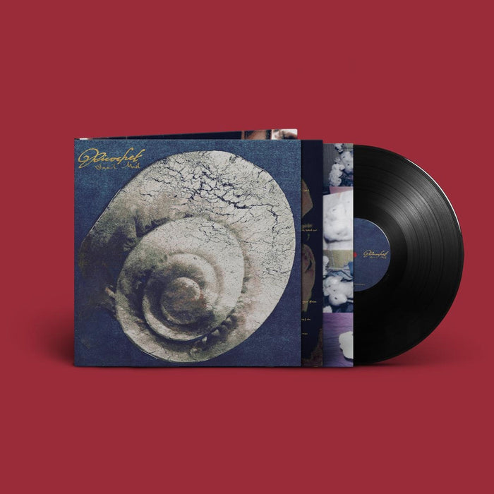 Snail Mail – Ricochet - Image 2