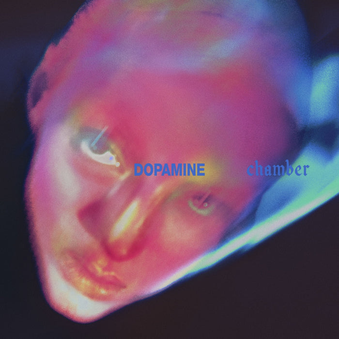 Fontaines D.C. – Dopamine Chamber LP vinyl record, image 1 of 2