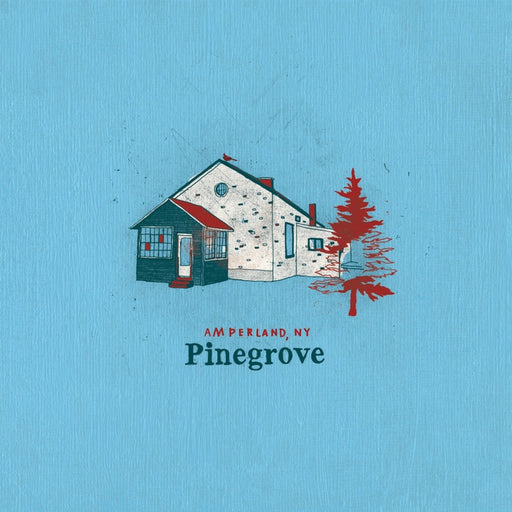 Pinegrove – Amperland, NY (2xLP) (LP, Vinyl Record Album)