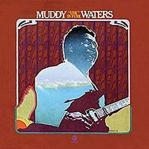 Muddy Waters – "Unk" In Funk (LP, Vinyl Record Album)