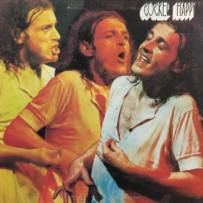 Joe Cocker – Cocker Happy (LP, Vinyl Record Album)