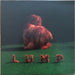 LUMP – Lump (LP, Vinyl Record Album)
