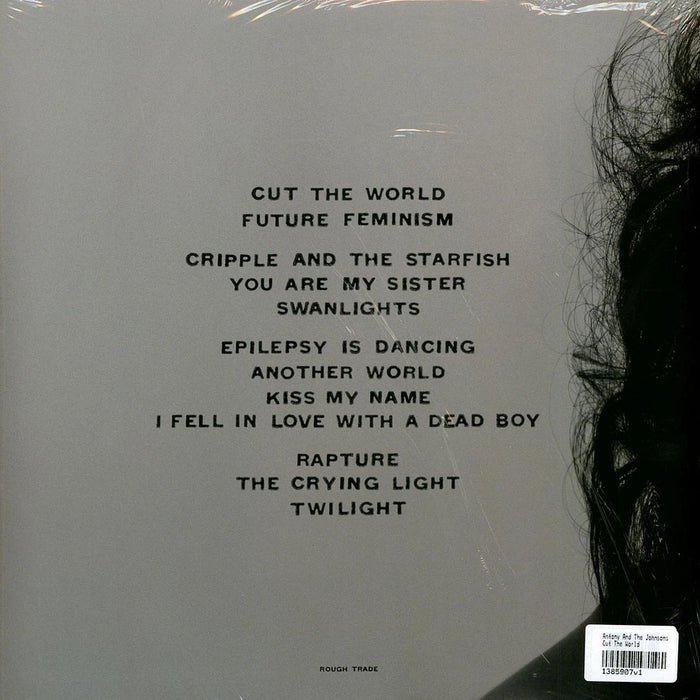 Antony And The Johnsons – Cut The World (2xLP) LP vinyl record, image 2 of 2