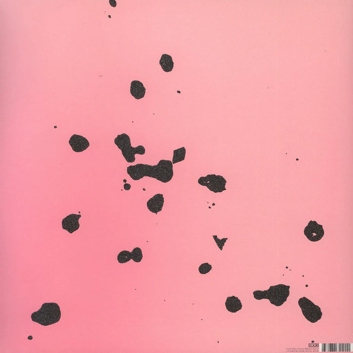 Ariel Pink – Pom Pom (2xLP) LP vinyl record, image 2 of 2
