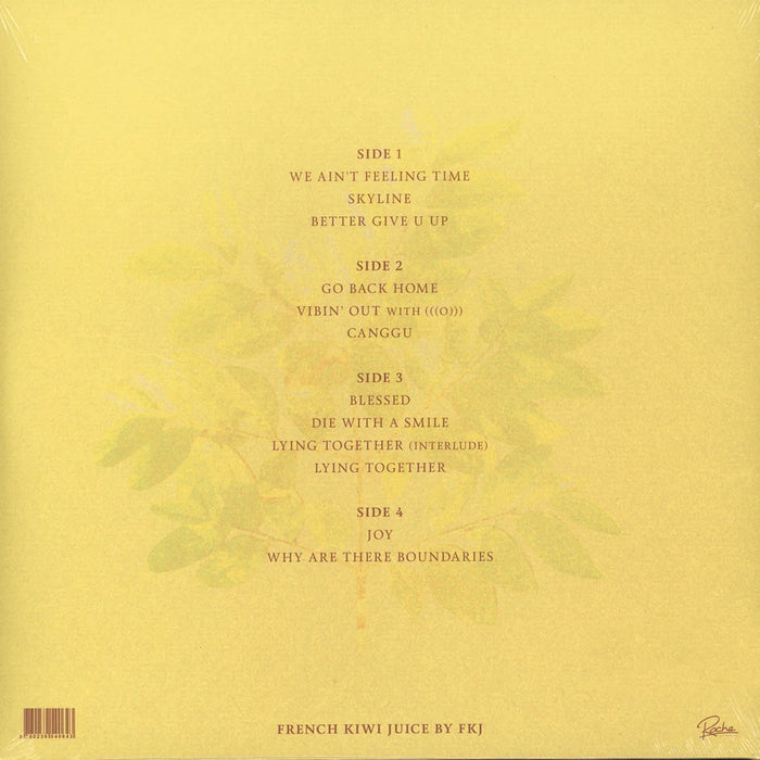 FKJ (French Kiwi Juice) – French Kiwi Juice (2xLP) LP vinyl record, image 3 of 3