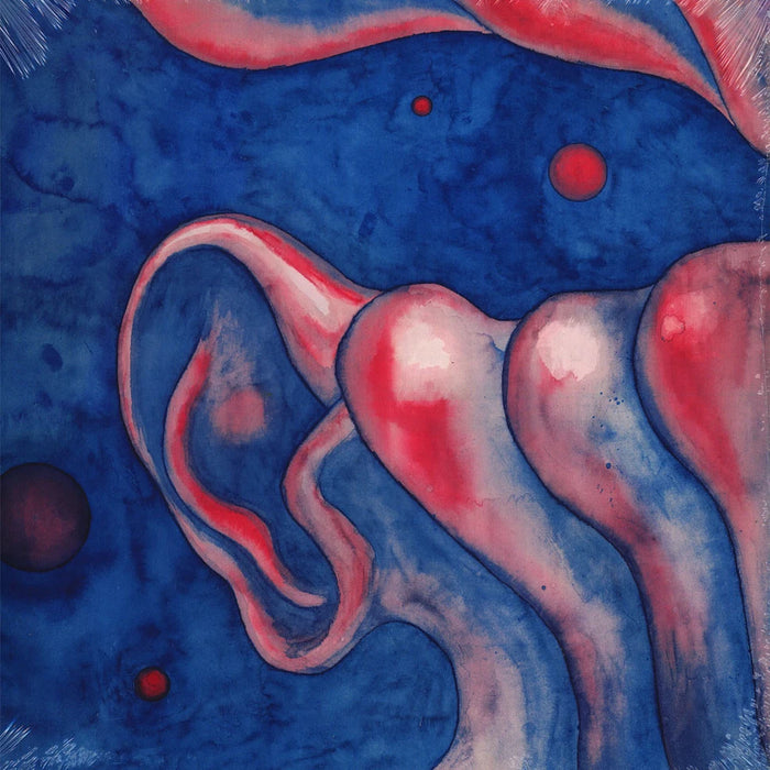 King Crimson – In The Court Of The Crimson King (2xLP, 50th Anniversary Edition) LP vinyl record, image 2 of 2