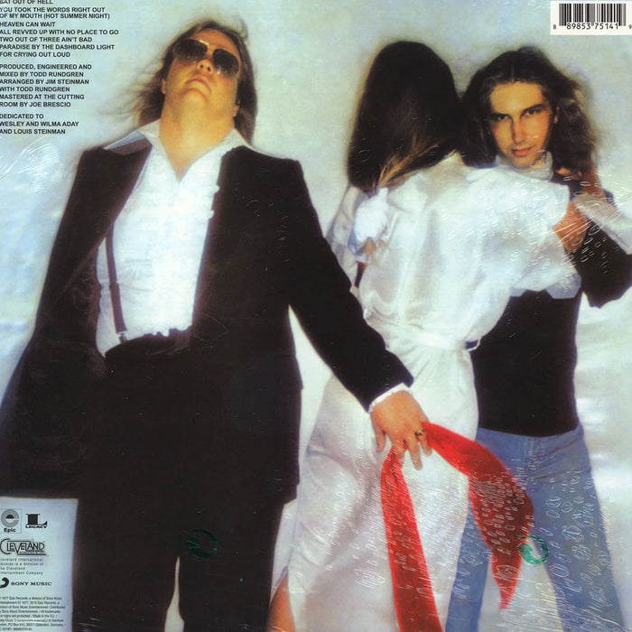 Meat Loaf – Bat Out Of Hell LP vinyl record, image 2 of 3