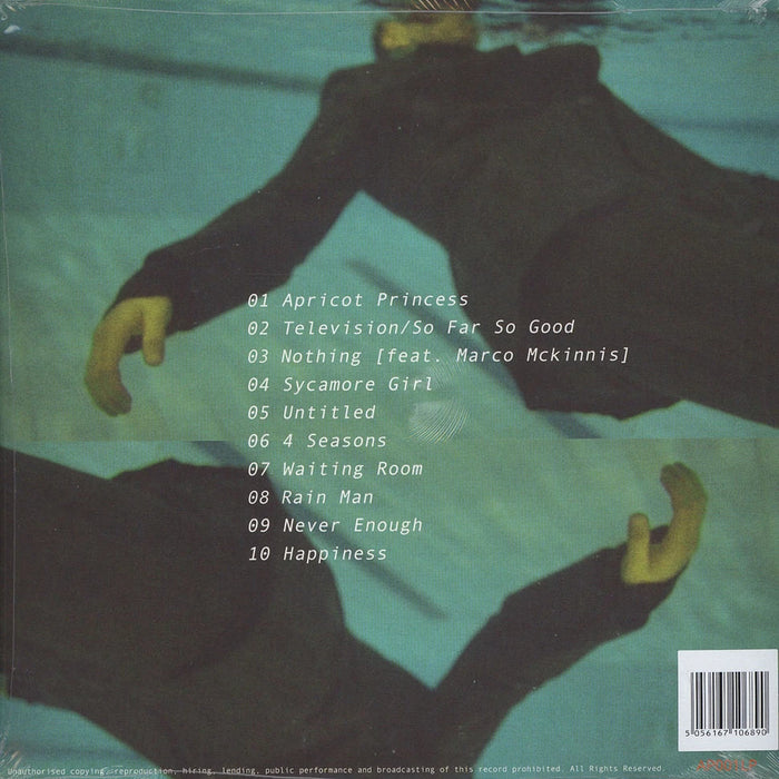 Apricot Princess – Rex Orange County (Orange Vinyl) LP vinyl record, image 2 of 3