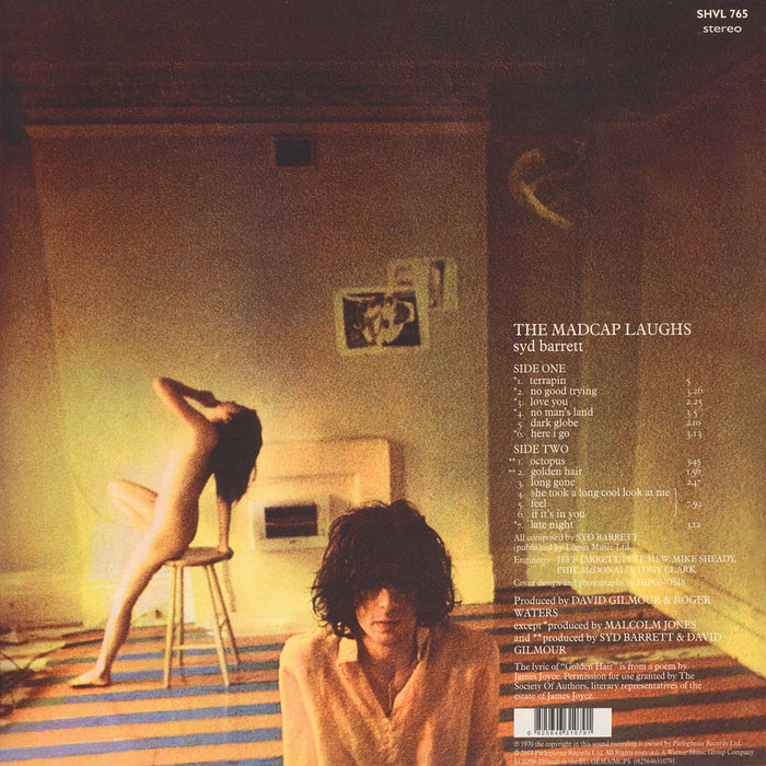 Syd Barrett – The Madcap Laughs LP vinyl record, image 2 of 2
